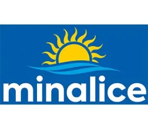 minalice_converted